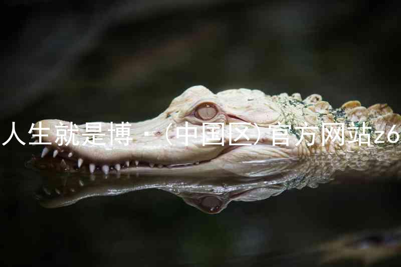 人生就是博·(中国区)官方网站z6